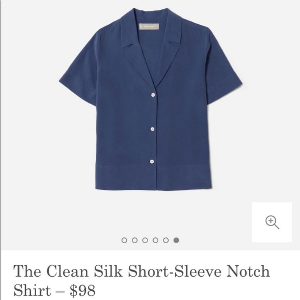 Everlane Clean Silk Notch Shirt